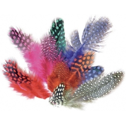 plumes pintades colorees 125 cm