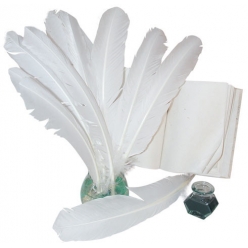 plumes indiennes blanches 10 plumes