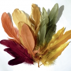 plumes d oie coloris automne 15g