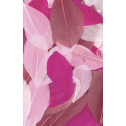 plumes coupees camaieu rose 10g 6 cm