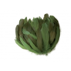 plumes nageoire d oie degrade vert 20g