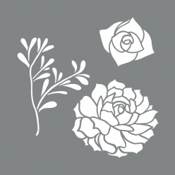 pochoir plantes succulentes 8  14 cm