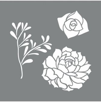 pochoir plantes succulentes 8 14 cm