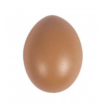 lot de 6 oeufs plastique 6 cm blanc ou brun