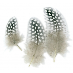 plumes assortiment naturel 10 cm 50 pieces