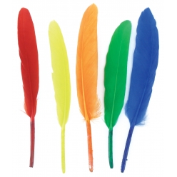 plumes indiennes multicolores 7 a 15 cm 120 pieces