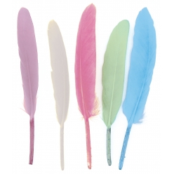 plumes indiennes pastel 7 a 15 cm 120 pieces