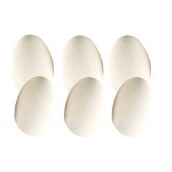 oeuf en plastique 6 x 45 cm blanc 6 pieces