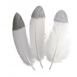 plumes a bout argente 4 x 19 cm x 10 pcs