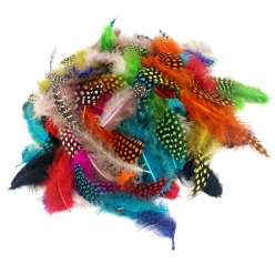plumes de pintade multicouleurs 10g 47 cm 10 pieces