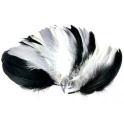 plumes d oie naturel 1417 cm 20g