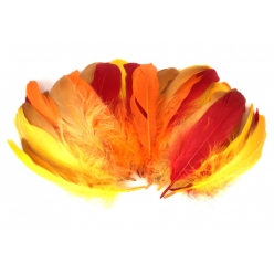 plumes d oies 1417 cm 15g