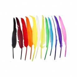 plumes d indiens 35 cm 12 pieces