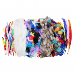 plumes naturelles grosse quantite 1000 pieces