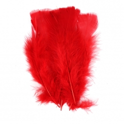 plumes de dinde 1218 cm 25g jaune