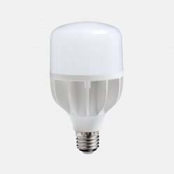 ampoule led daylight 18w