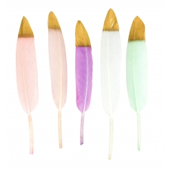 plume couleur pastel a bout dore 14 cm 24 pieces