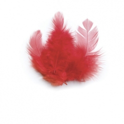 plume de coq rouge 10 cm 3g
