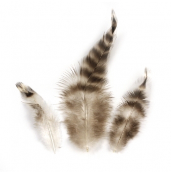 plume de chinchilla 75  9 cm 3 gr