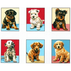 kit serie chiots 20x25 6 modeles