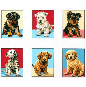 kit serie chiots 20x25 6 modeles