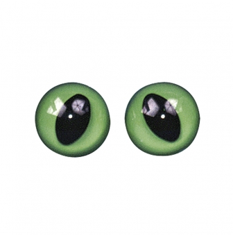 yeux des chats vertnoir