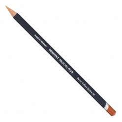crayon de couleur derwent procolour ocre jaune brule 60