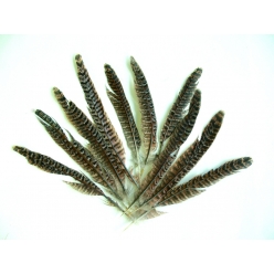 plumes couleurs naturelles 30 pieces