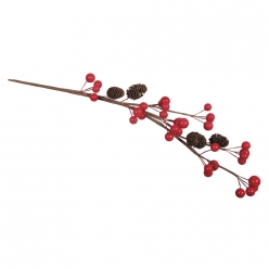 branche de baies avec cones d aulne