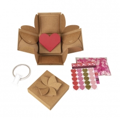 diy boite d explosion
