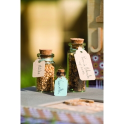 fioles en verre 8pcs