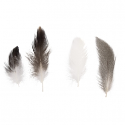 melange de plumes 7  9 cm pepita