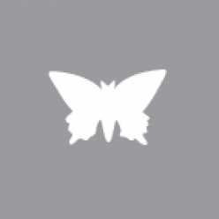 petite perforatrice 16 cm o papillon 16 cm