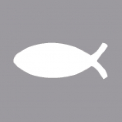 perforatrice poisson 38 cm