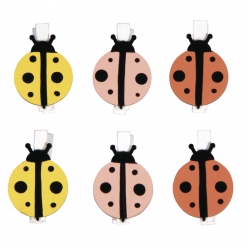 pinces en bois coccinelle