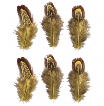 plumes