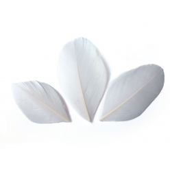 plumes coupees blanches 6cm 3g