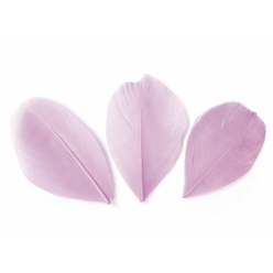plumes coupees rose pale 6cm 3g