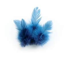 plumes de coq turquoise 10cm 3g