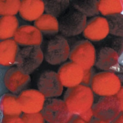 pompons 15 cm degrade de rouge 45 pieces
