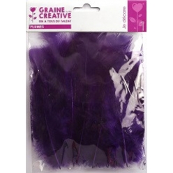 plumes violet 5g