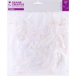 plumes blanches 25g
