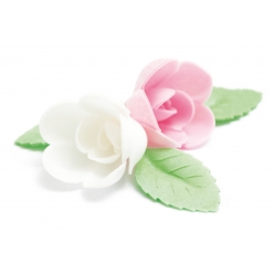 roses assortis et feuilles vertes azyme