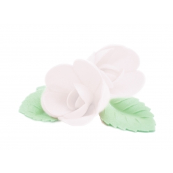 roses blanches et feuilles vertes azyme