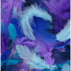 plumes teintes bleues 10 g