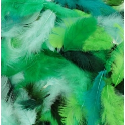 plumes teintes vertes 10 g