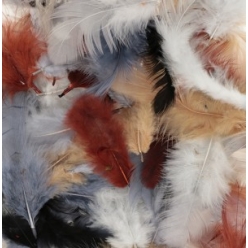 plumes teintes naturelles 10 g