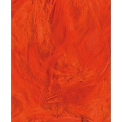 plumes 8 12cm