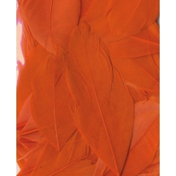 plumes ronde 6cm