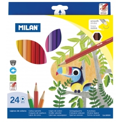 crayons de couleur hexagonaux 24 pieces